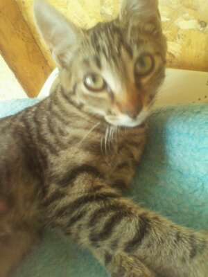 caut un camin urgent!