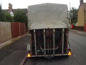 vand remorca transport cai