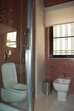 Apartament 2 camere Arcul de Triumf