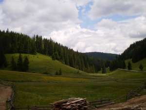 Vand teren Apuseni