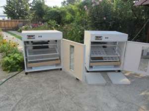 incubatoare oua 0767739200