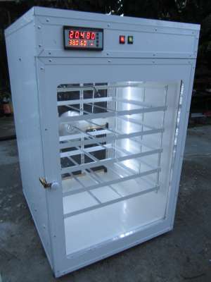 incubatoare oua 0767739200