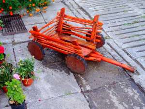 carut flori