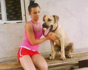 Arad Presa Canario