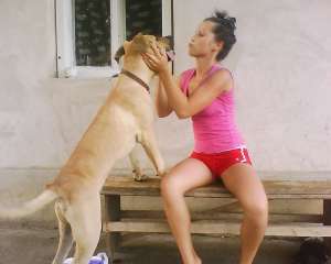Arad Presa Canario