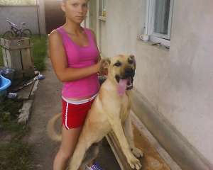 Arad Presa Canario