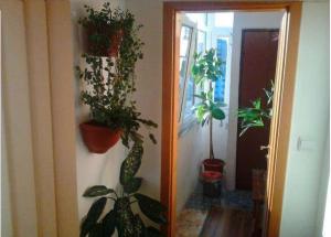 Apartament,   cf I,   zona Porolissum