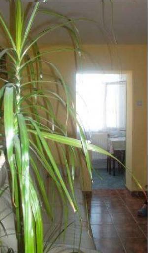 Apartament 3 cam,   finisat,   et int