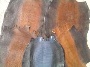 vand piele sarpe 3,    4 si 5 metri,    piele soparla,    piele piton