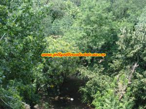 Apartament 4 camere Brezoianu