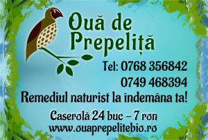 OUALE DE PREPELITA � PORTIA ZILNICA DE SANATATE