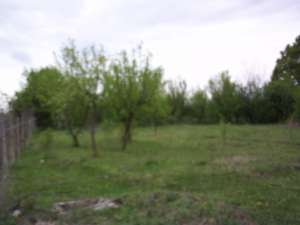 TEREN INTRAVILAN ZONA SUPERBA DEAL  LANGA PADURE 20KM DE PLOIESTI