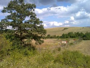 Teren intravilan