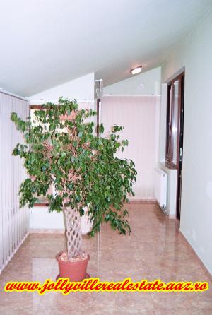 Vila Pipera - vanzare / inchiriere