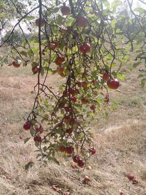 vand mere