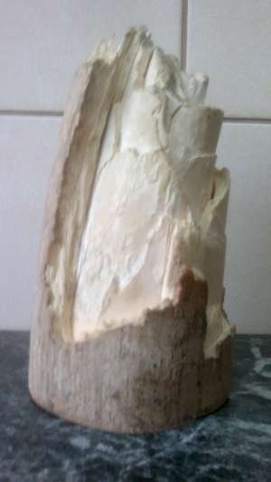 vand segment corn fildes mamut