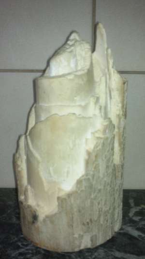 vand segment corn fildes mamut