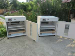 incubator automat