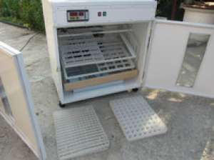 incubator automat