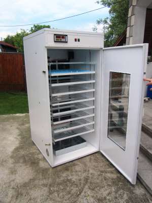 incubator automat