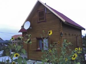 Vand casa de lemn in Viile Satu Mare