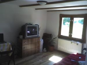 Vand casa de lemn in Viile Satu Mare