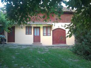 Vand casa la tara