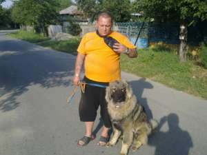 SCOALA DE DRESAJ CANIN BEST-DOGS