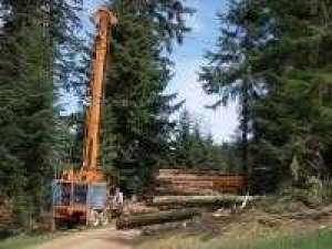 DRUJBISTI CU EXPERIENTA LA  DOBORT - AUSTRIA