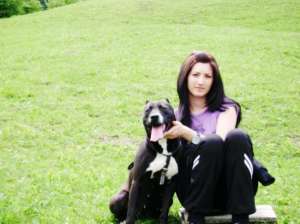 vand pui amstaff