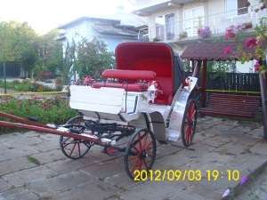 vand trasura