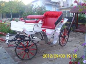vand trasura