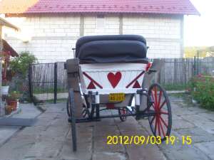 vand trasura