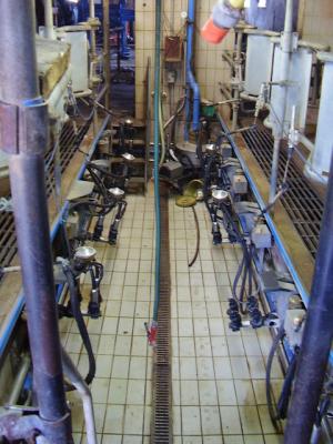 Utilaje procesare lapte si aparate de muls