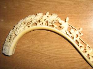 Vand corn din fildes sculptat , vechi de peste 100 ani ,  3 000 euro negociabil