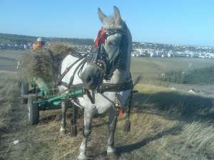 iapa de tractiune de vanzare