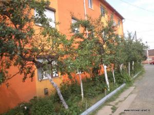 Renovari apartamente si case Arad