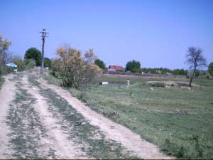 DELTA DUNARII -GORGOVA