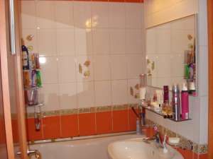 3 camere salon american
