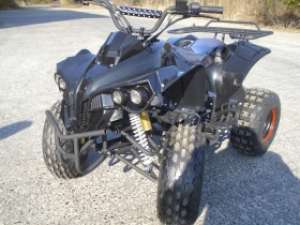 AutoMoto Vinde atv nou ReneGade 8