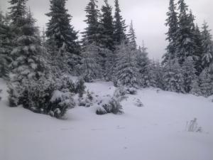 cabana Barajul lesu(coada lacului)