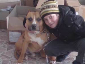 Vand pui amstaff