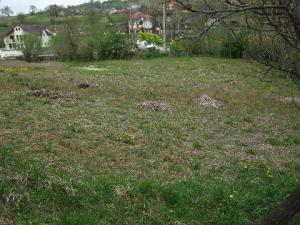 vand 1700 mp teren la podis bacau