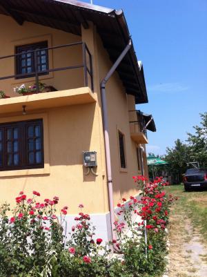 CASA DE VANZARE