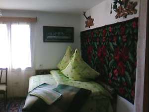 **REVELION 2010 IN BUCOVINA**