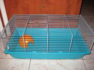 Vind cusca hamster sau porcusor de guineea