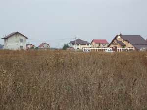 1 DECEMBRIE,  Ilfov,  proprietar,  urgent,  vand teren