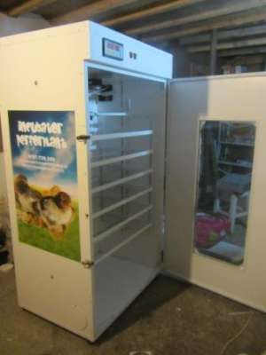 incubataore oua