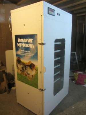 incubataore oua