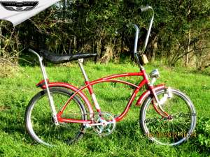 Bicicleta Pegas Modern,  model 41 barbatesc(kent)cu sha lunga
